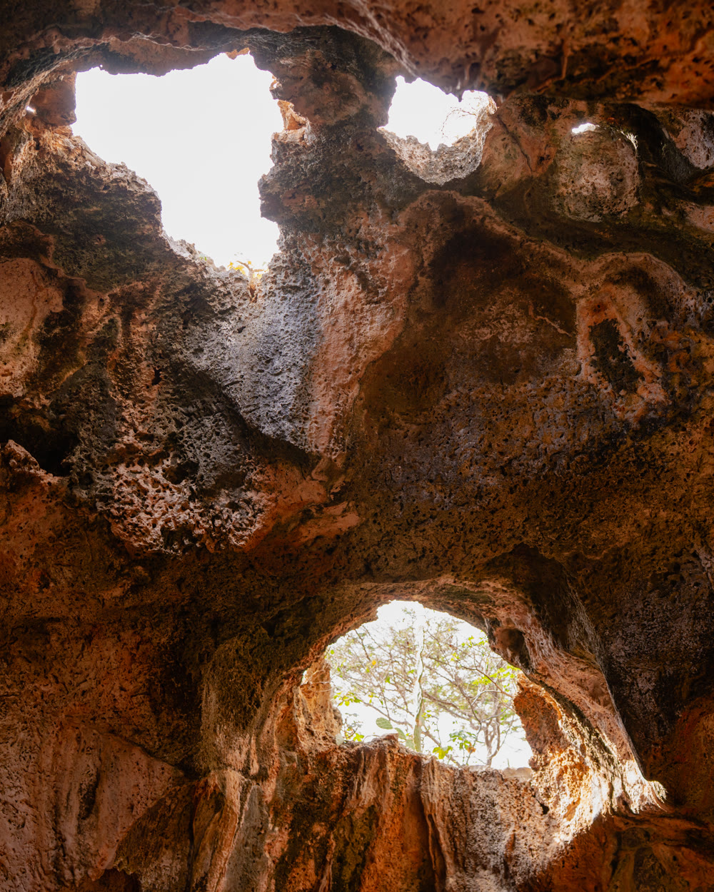 Looking up inside a cave at openings in the rock ceiling with daylight coming through